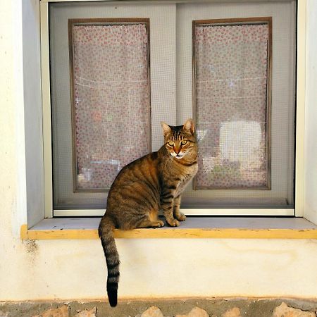 דירות LMP Cala Creta מראה חיצוני תמונה