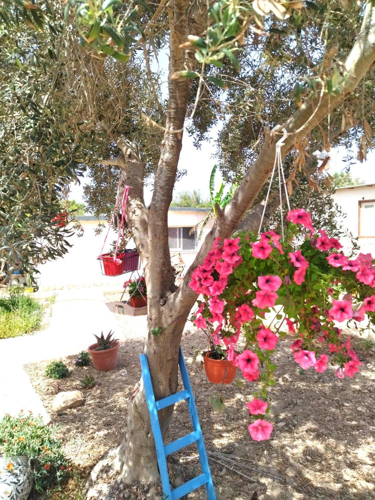 דירות LMP Cala Creta חדר תמונה