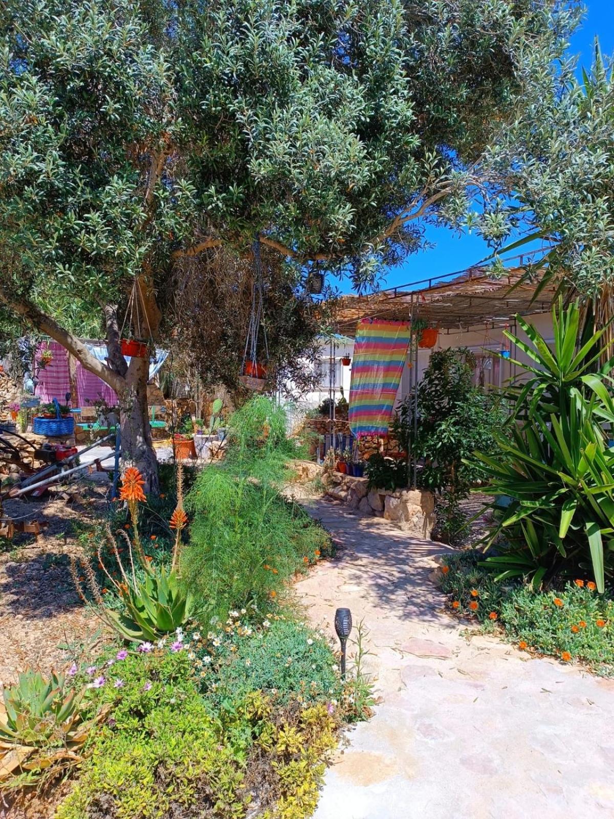 דירות LMP Cala Creta מראה חיצוני תמונה